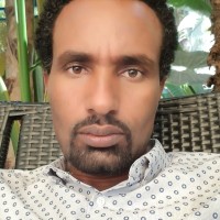 Nahil Abebe Niguse (Ph.D.)