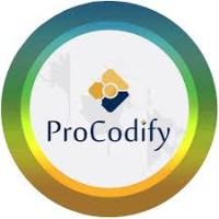 ProCodify Company