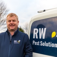 Rob Whittingham