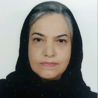 Hamideh Papinamadi