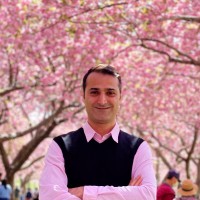 Ray Saeidi-Razavi, Phd