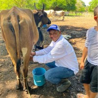 Sergio Raul Ruano Solares