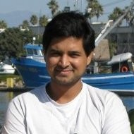 Raman Singh