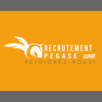 Pegase Recrutement