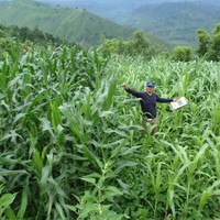 Lokendra Khadka