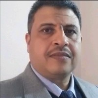 Adel Hanafy