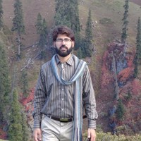 Syed Tauqeer