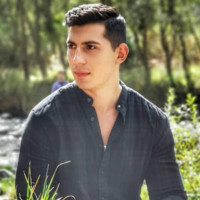 Andrei Barbu