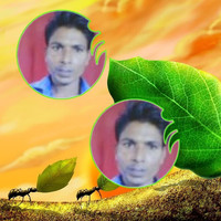 Bapulal Maida