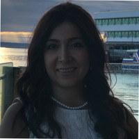Hanieh Ghorabi