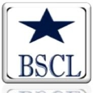 Blue Star Cargo Logistics