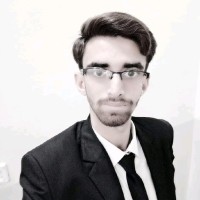 Muhammad Hamza Saleem