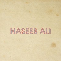 Haseeb Ali