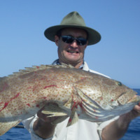 David Mcnab