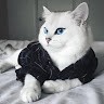 Cat Lover Ruhina