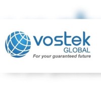 Vostek Global