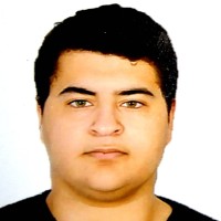 Alhussein Abdelhafeez
