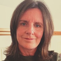 Bernie Shaughnessy