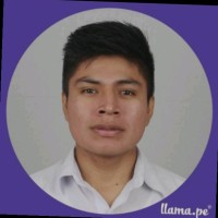 Vicente Gemin Amaya