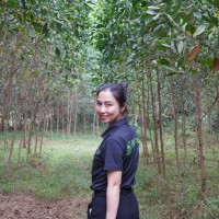 Thu Thao Pham