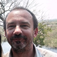 David Marks
