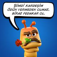 ibrahim çayır Aspava7878