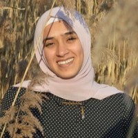 Alaa Said Mahdy Nasr