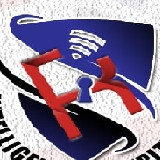 REOCOMM INTELLIGENCE SECURITY SERVICES