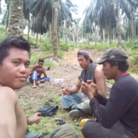 Zainul Pardi