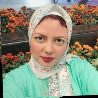 Safaa Hassan