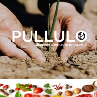 PULLULO .