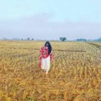Harpreet Puri