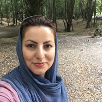 Z Haghimoghadam