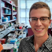 Ethan Strattan, Phd
