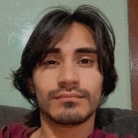 LUIZ CARLOS DE LIMA JUNIOR