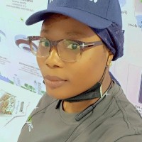 Adedamola Shogeyinbo