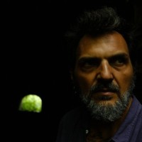 Andre Gustavo