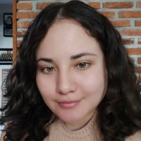 AIDEE SANCHEZ SALGADO