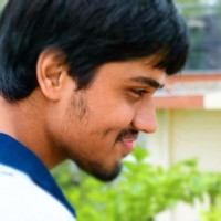 Diwakar Pareek