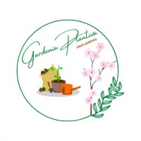 Gardenia Plantiva