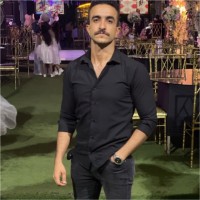 Mohamed Hendy