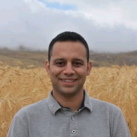 Milad Torabi