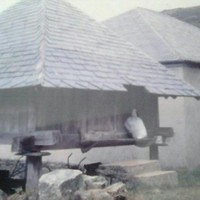 Jose Manuel González Rosón