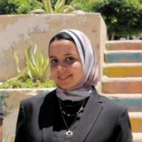 Mayar Hassan