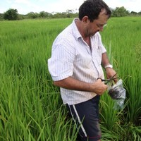 Pedro Mauricio L Machado