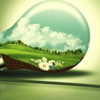 Maggie Renewable Sources