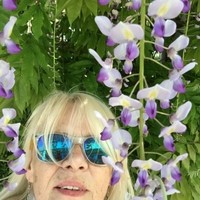 Vera Martinek