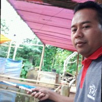 Midin Axi