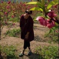 秦亚玲