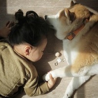 朱天驰